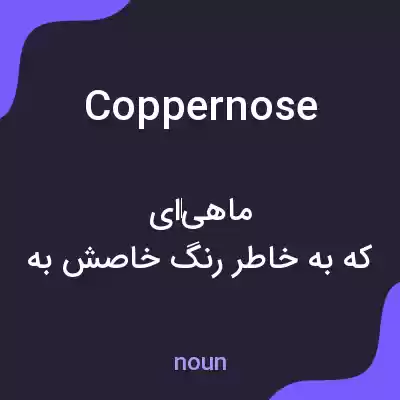 معنی coppernose به فارسی معنی coppernose به فارسی