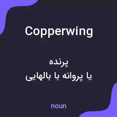 معنی copperwing به فارسی معنی copperwing به فارسی