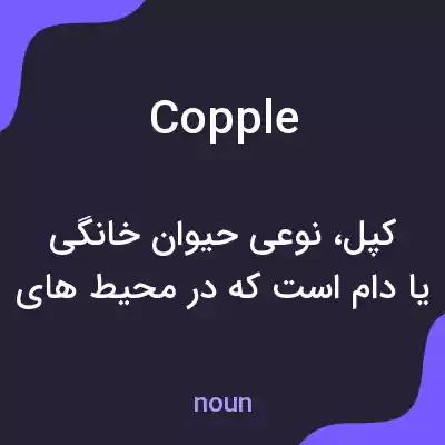 معنی copple به فارسی معنی copple به فارسی