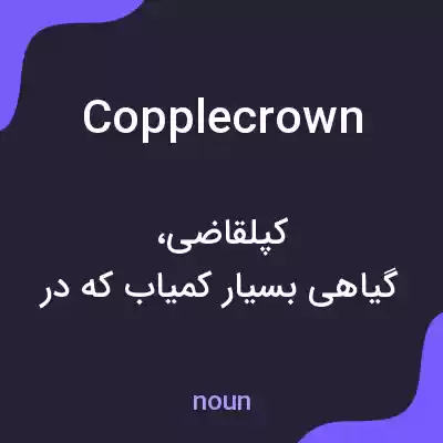 معنی copplecrown به فارسی معنی copplecrown به فارسی