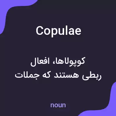 معنی copulae به فارسی معنی copulae به فارسی