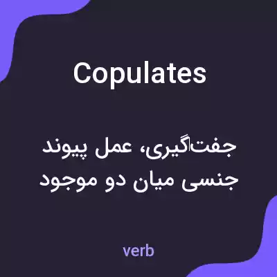 معنی copulates به فارسی معنی copulates به فارسی