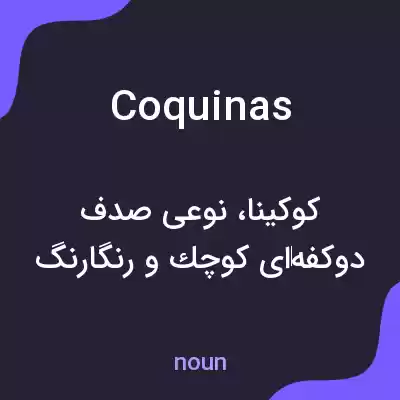 معنی coquinas به فارسی معنی coquinas به فارسی