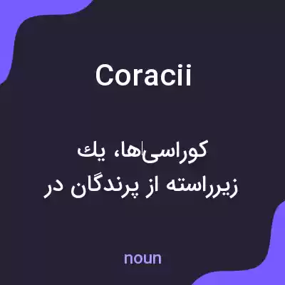 معنی coracii به فارسی