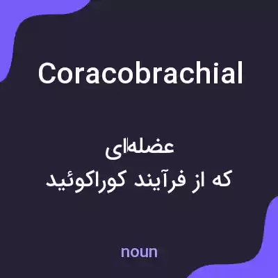 معنی coracobrachial به فارسی معنی coracobrachial به فارسی