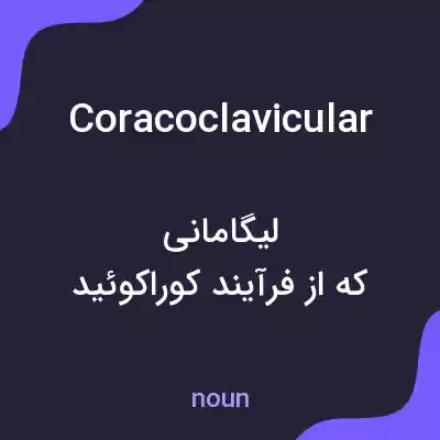 معنی coracoclavicular به فارسی معنی coracoclavicular به فارسی
