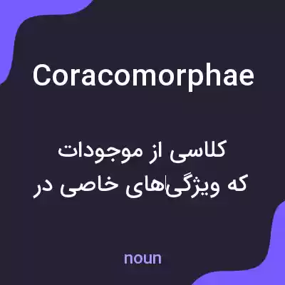معنی coracomorphae به فارسی معنی coracomorphae به فارسی