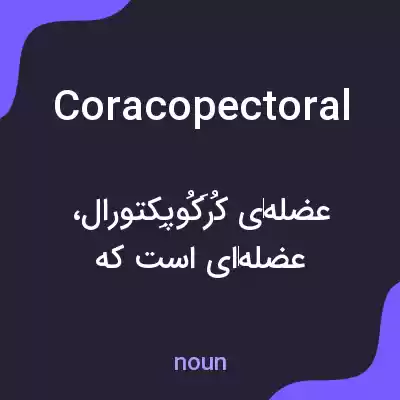 معنی coracopectoral به فارسی معنی coracopectoral به فارسی