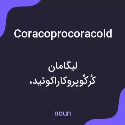 معنی coracoprocoracoid به فارسی معنی coracoprocoracoid به فارسی