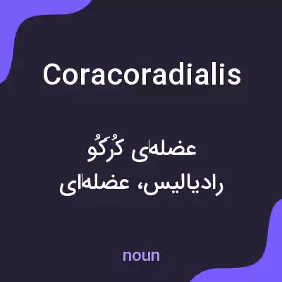 معنی coracoradialis به فارسی معنی coracoradialis به فارسی
