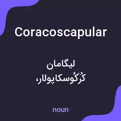 معنی coracoscapular به فارسی معنی coracoscapular به فارسی