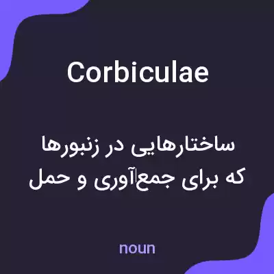 معنی corbiculae به فارسی