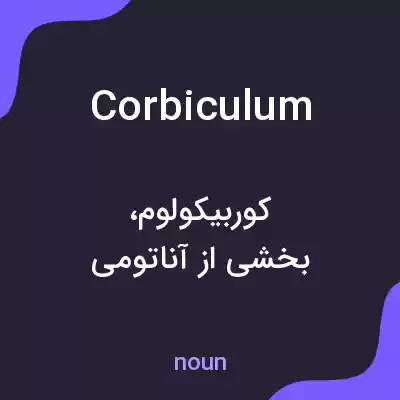 معنی corbiculum به فارسی معنی corbiculum به فارسی