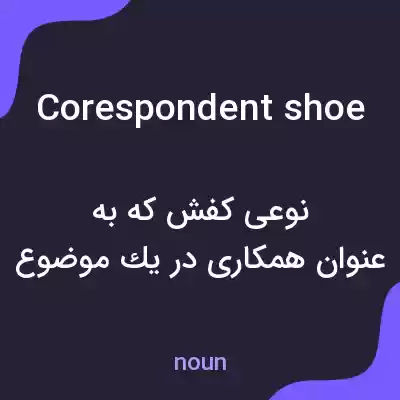 معنی corespondent shoe به فارسی معنی corespondent shoe به فارسی