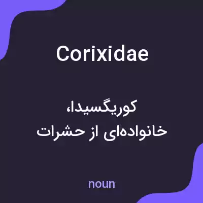 معنی corixidae به فارسی