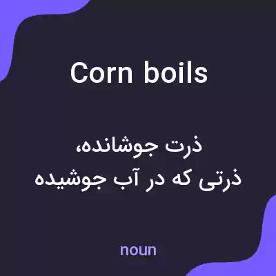 معنی corn boils به فارسی معنی corn boils به فارسی