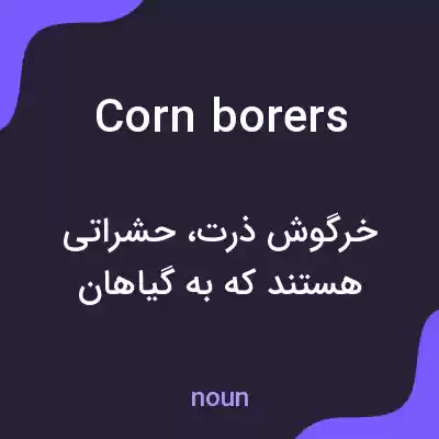 معنی corn borers به فارسی معنی corn borers به فارسی