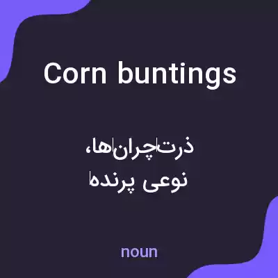 معنی corn buntings به فارسی معنی corn buntings به فارسی