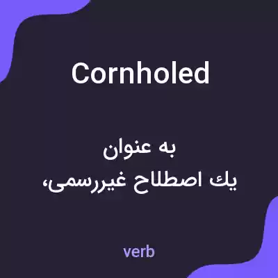 معنی cornholed به فارسی