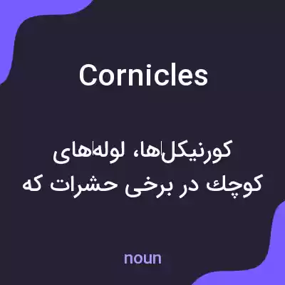 معنی cornicles به فارسی معنی cornicles به فارسی
