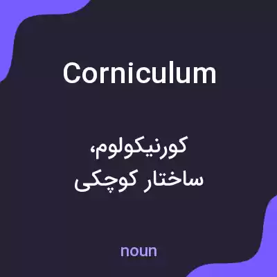 معنی corniculum به فارسی معنی corniculum به فارسی