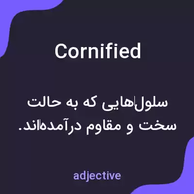 معنی cornified به فارسی معنی cornified به فارسی