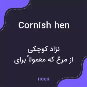 معنی cornish hen به فارسی معنی cornish hen به فارسی