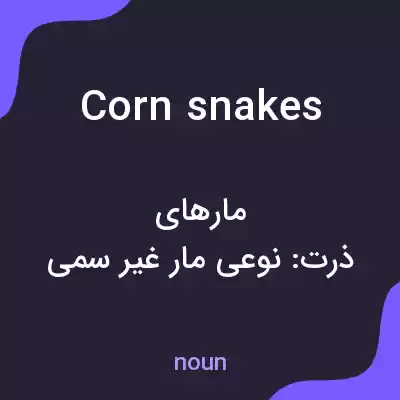 معنی corn snakes به فارسی معنی corn snakes به فارسی