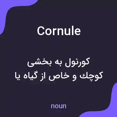 معنی cornule به فارسی معنی cornule به فارسی
