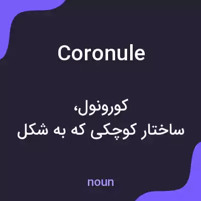 معنی coronule به فارسی معنی coronule به فارسی
