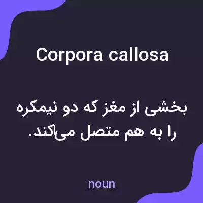 معنی corpora callosa به فارسی معنی corpora callosa به فارسی