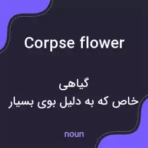 معنی corpse flower به فارسی معنی corpse flower به فارسی