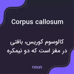 معنی corpus callosum به فارسی معنی corpus callosum به فارسی