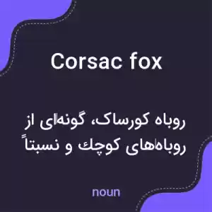 معنی corsac fox به فارسی معنی corsac fox به فارسی
