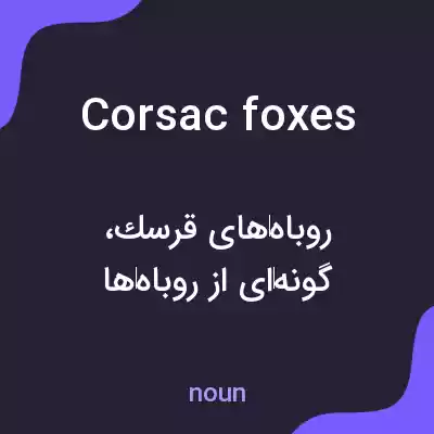 معنی corsac foxes به فارسی معنی corsac foxes به فارسی
