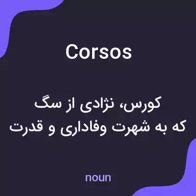 معنی corsos به فارسی