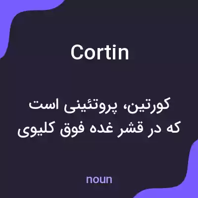 معنی cortin به فارسی معنی cortin به فارسی