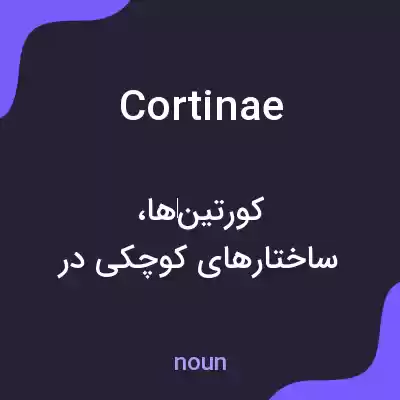 معنی cortinae به فارسی معنی cortinae به فارسی