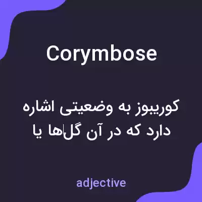 معنی corymbose به فارسی معنی corymbose به فارسی