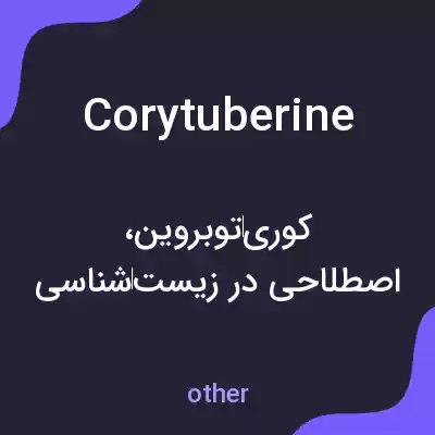 معنی corytuberine به فارسی