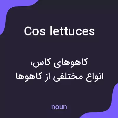 معنی cos lettuces به فارسی معنی cos lettuces به فارسی