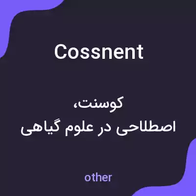 معنی cossnent به فارسی معنی cossnent به فارسی
