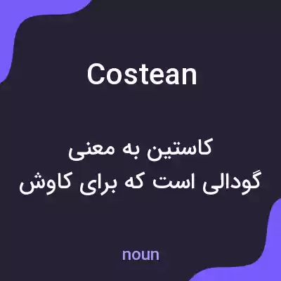 معنی costean به فارسی معنی costean به فارسی