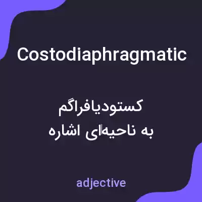 معنی costodiaphragmatic به فارسی
