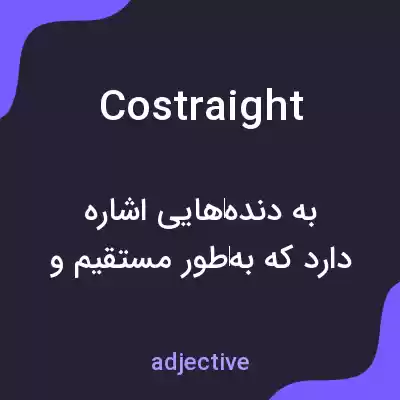 معنی costraight به فارسی معنی costraight به فارسی