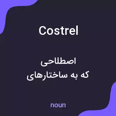معنی costrel به فارسی معنی costrel به فارسی