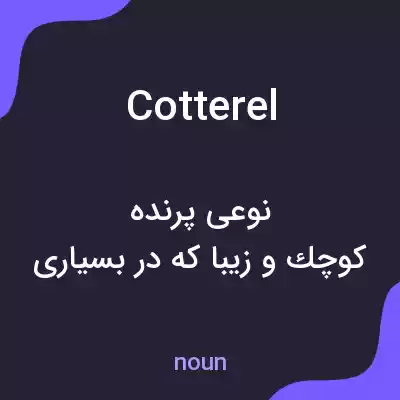 معنی cotterel به فارسی معنی cotterel به فارسی