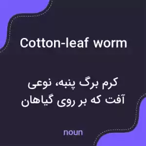 معنی cotton-leaf worm به فارسی