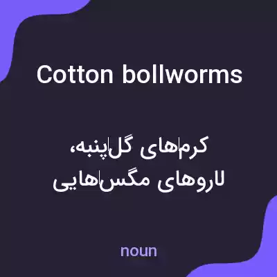 معنی cotton bollworms به فارسی معنی cotton bollworms به فارسی