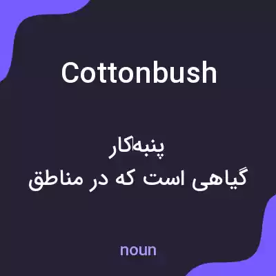 معنی cottonbush به فارسی معنی cottonbush به فارسی
